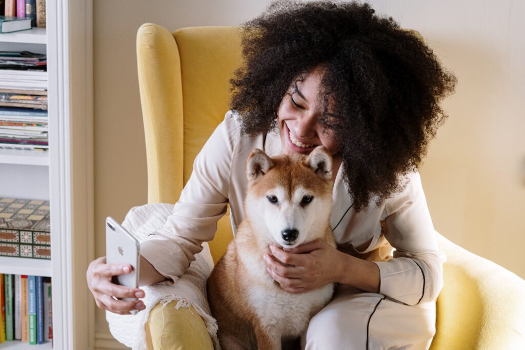 UGC pet creator