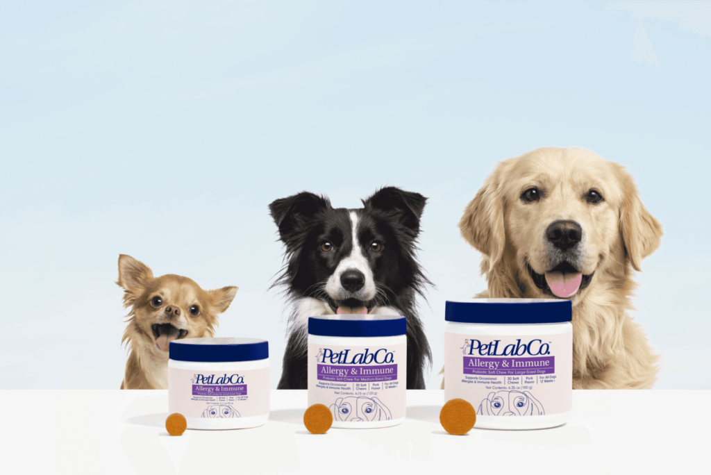 Pet lab discount dog chews